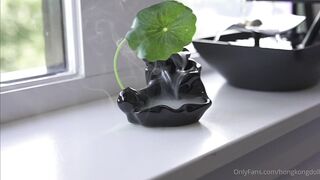 她的秘密1